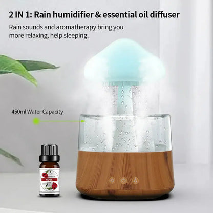 Rain Cloud Humidifier and Diffuser