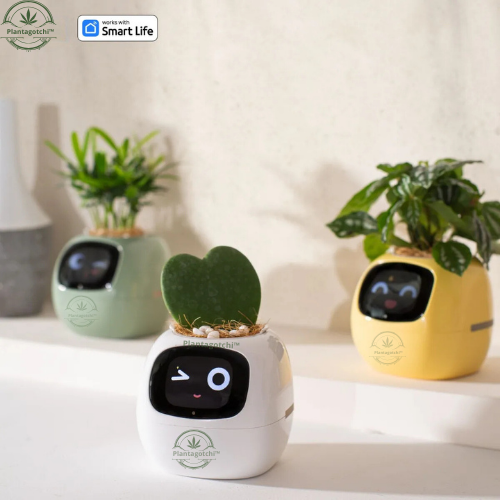 Plantagotchi™ Smart Plant Care